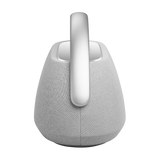 Harman Kardon Go Play 3